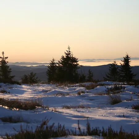 Wiesengrund In *