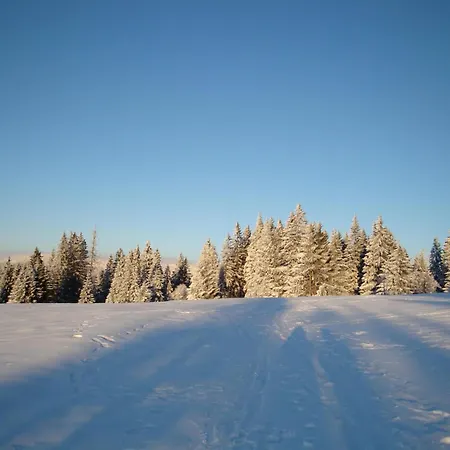Lägenhet Wiesengrund In Bayerisch Eisenstein